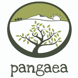 Pangea Olivenöl